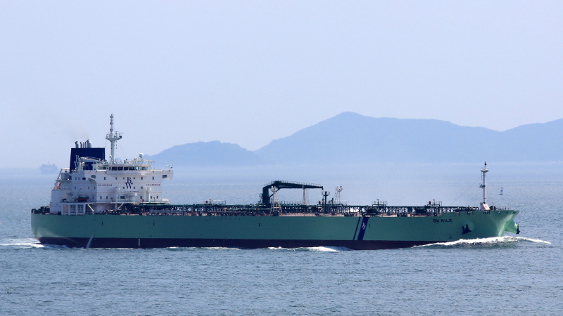 HAFNIA NILE