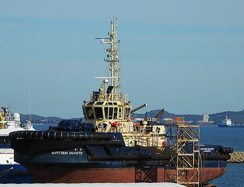 SVITZER DUGITE