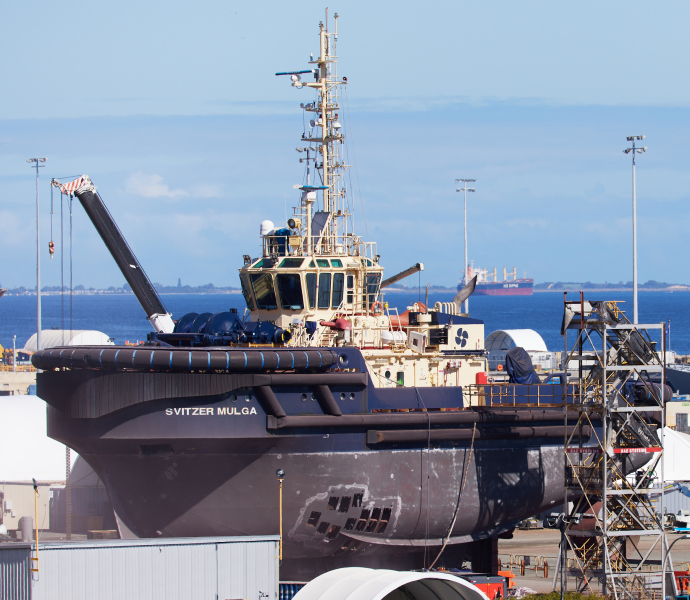 SVITZER MULGA