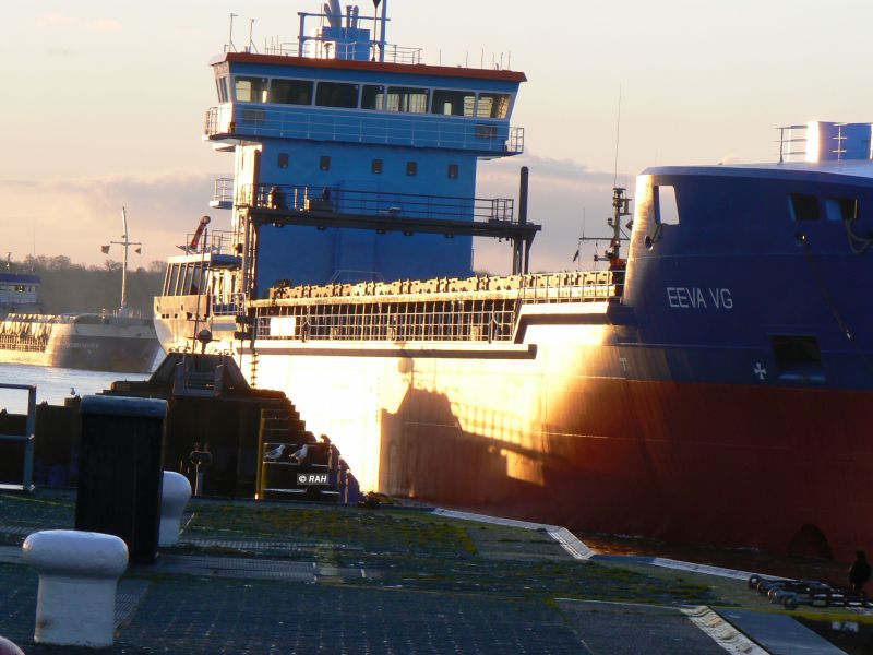 EEVA VG