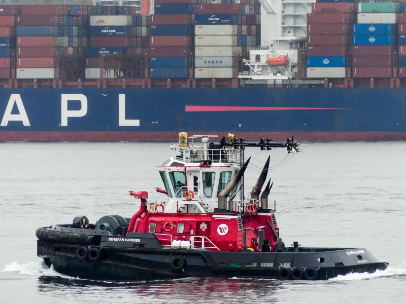 Image of SEASPAN HARRIER