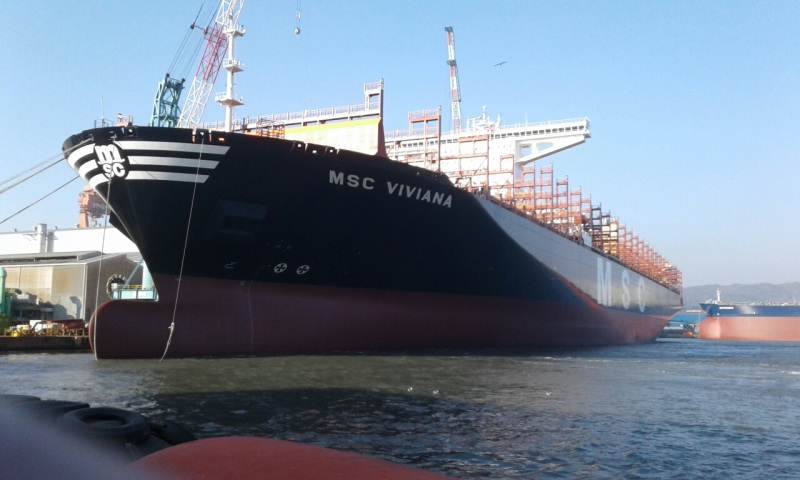 Image of MSC VIVIANA