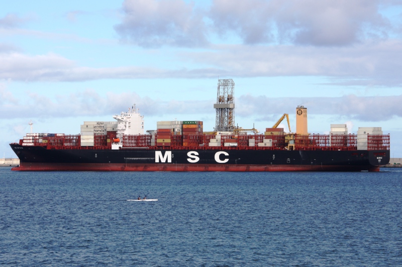 Image of MSC NITYA B