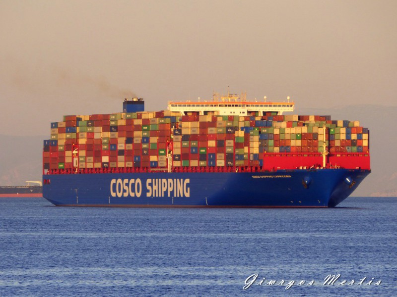 Image of COSCO CAPRICORN