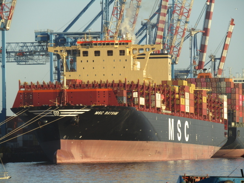 MSC RAYSHMI