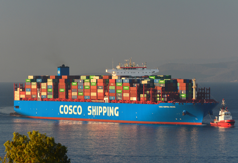 COSCOSHIPPING ORCHID