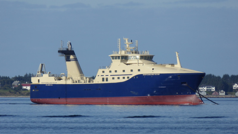 NEWFOUNDLAND VICTOR
