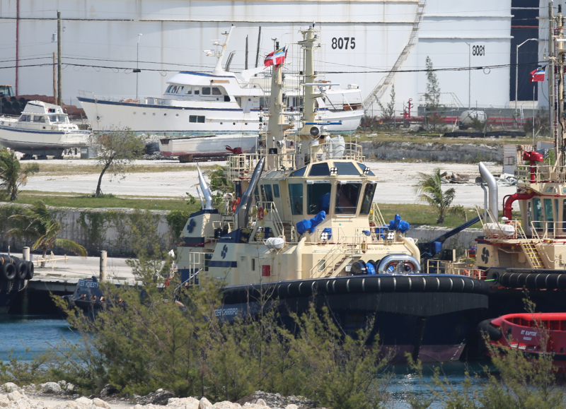 SVITZER CHIRRIPO