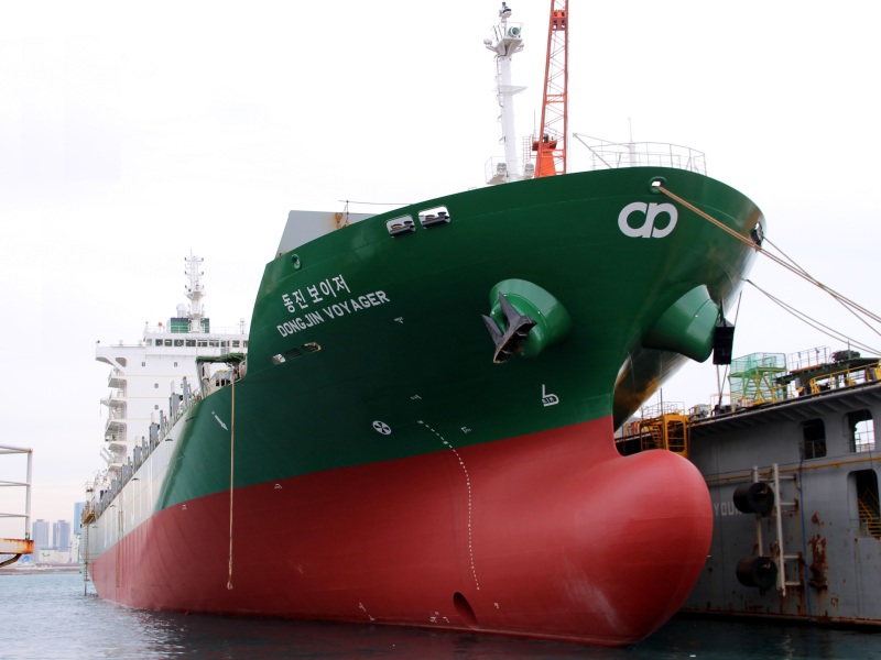 DONGJIN VOYAGER