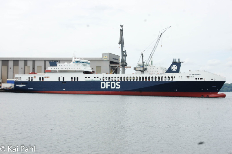 Image of TULIPA SEAWAYS