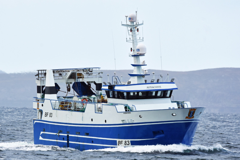 CARINA II BF803