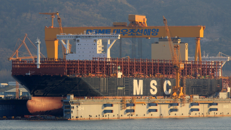 Image of MSC MINA