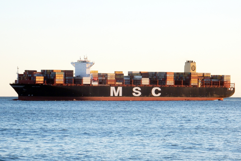 MSC ALIYA