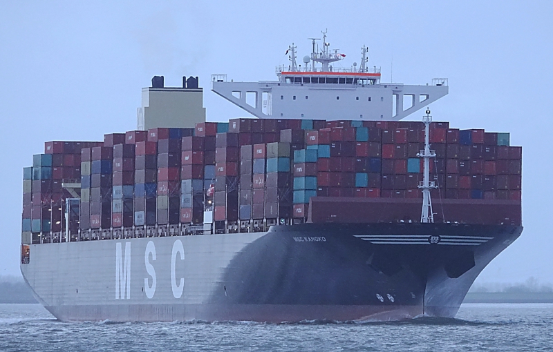 Image of MSC KANOKO