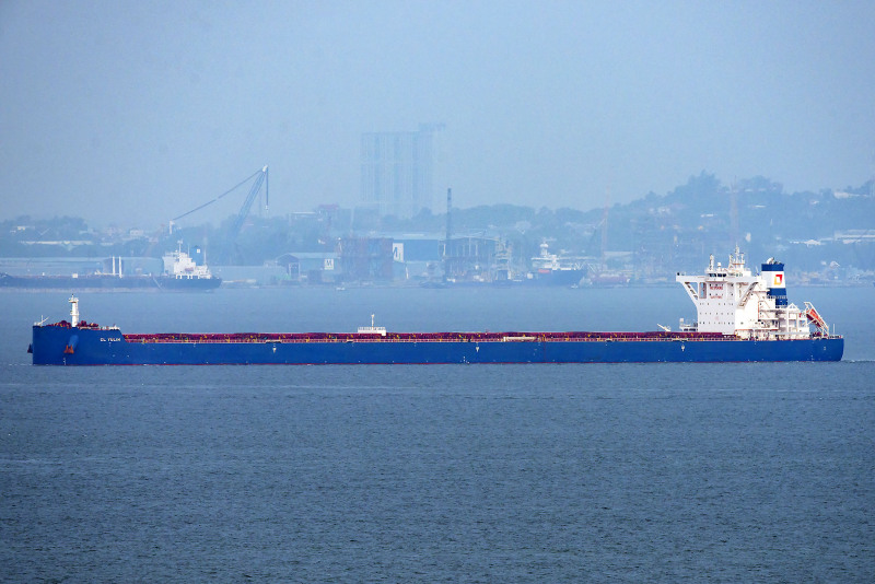 CL YULIN Dry bulk / Newcastlemax