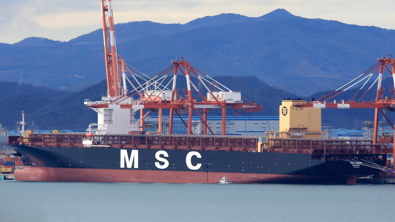 MSC ORION