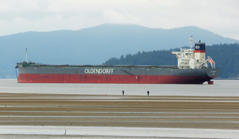 Diane Oldendorff Dry Bulk Baby Cape