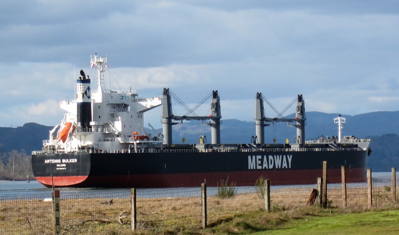 ARTEMIS BULKER