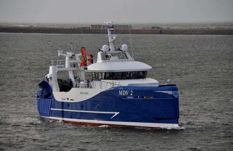 MDV2 METANOIA