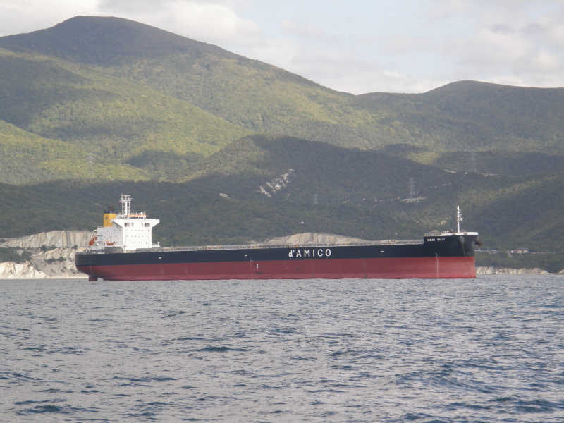 MEDI DOMUS DAINI - Dry bulk / Kamsarmax