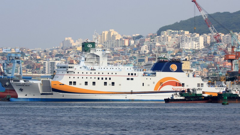 SUNFLOWER CRUISE