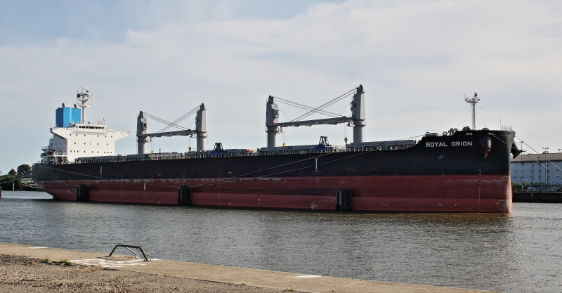 ROYAL ORION