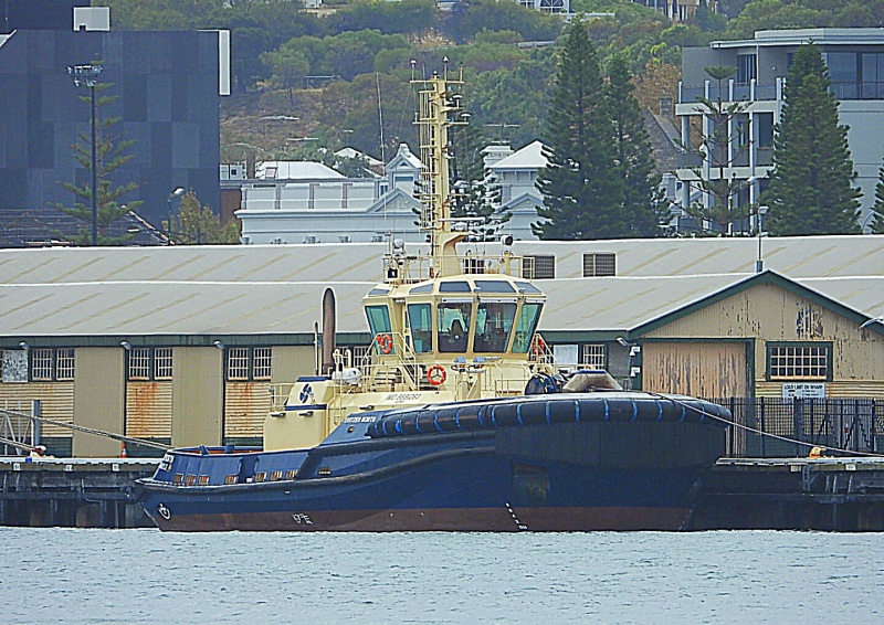 SVITZER NORTH