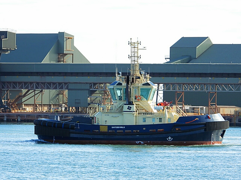 Image of SVITZER WILU