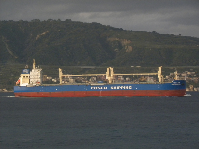 COSCO SHIPPING HONOR