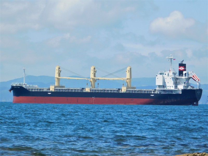 Ship RISING TIDE (Bulk Carrier) Registered in Panama - Vessel