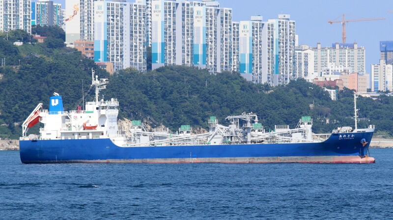 M/V CATTLEYA