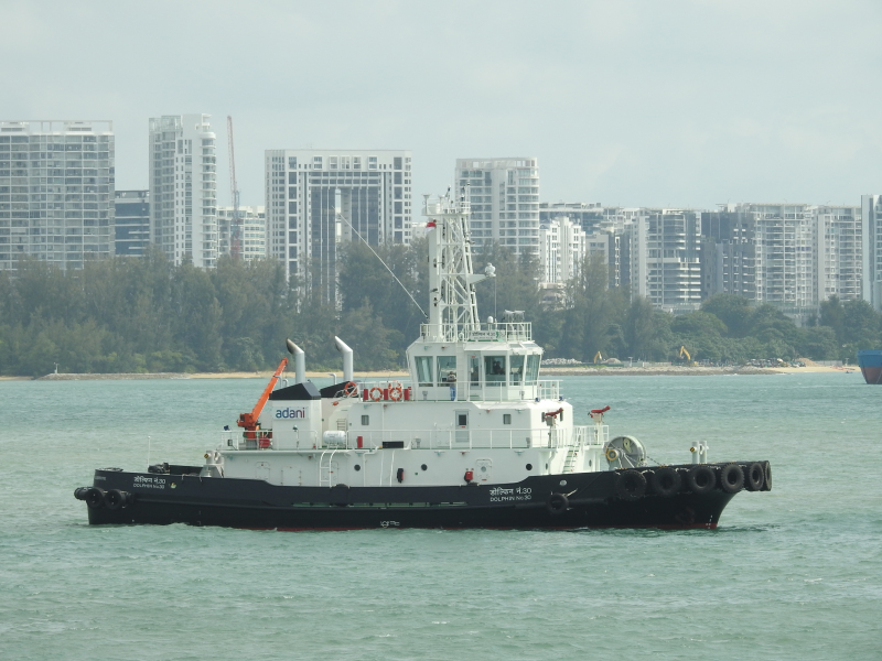 DOLPHIN NO.30