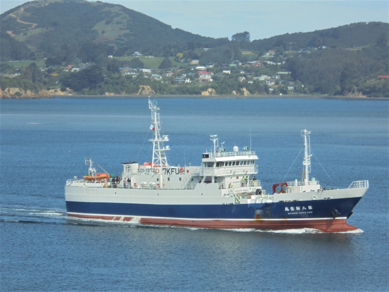 SHINSEI MARU NO.8