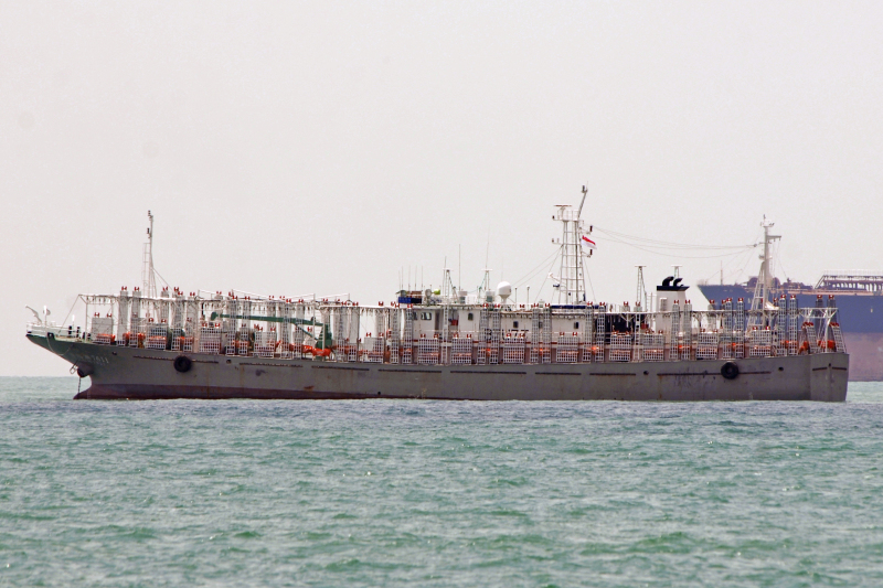FU YUAN YU 7571