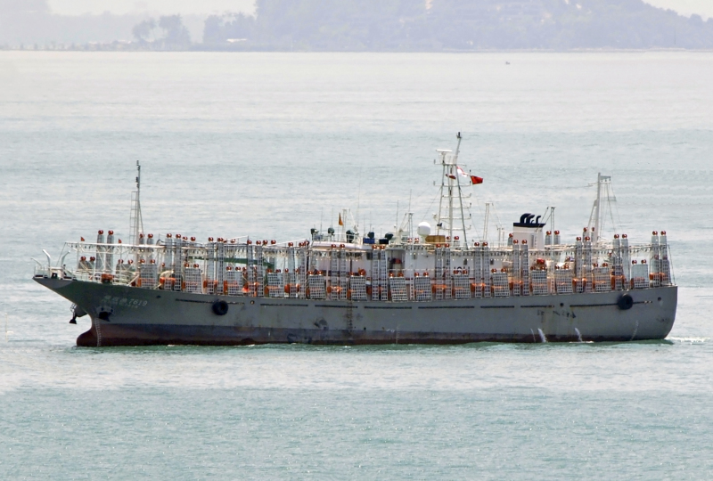 FU YUAN YU 7579