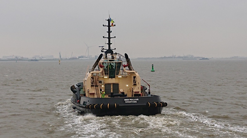MED POLLUX