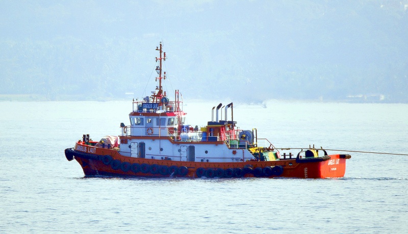JANGILUS LAUT