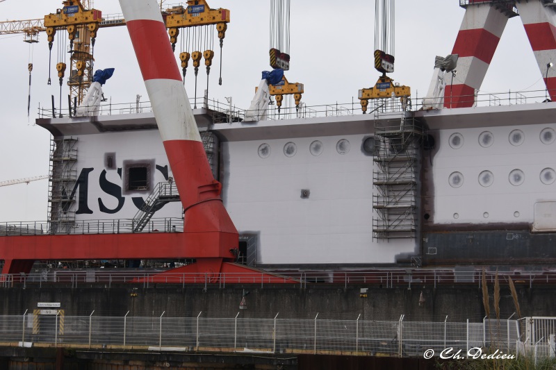 MSC EURIBIA