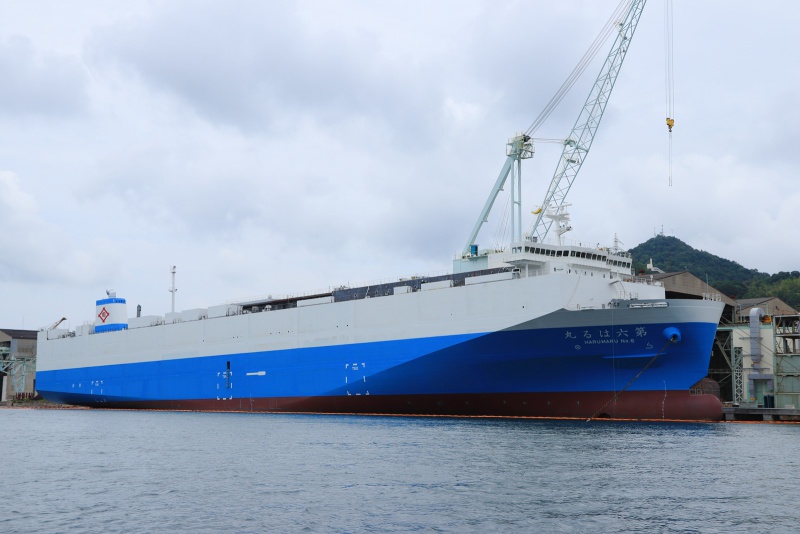 HARU MARU NO.6