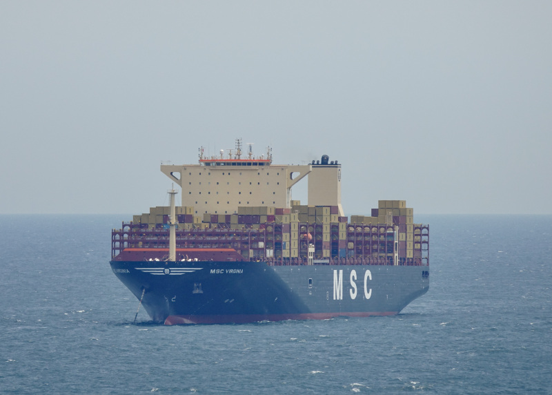 Image of MSC VIRGINIA