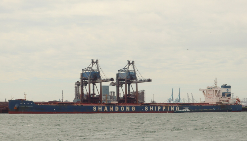 SHANDONG DEVELOPMENT