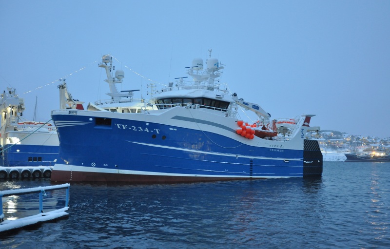 STODIG