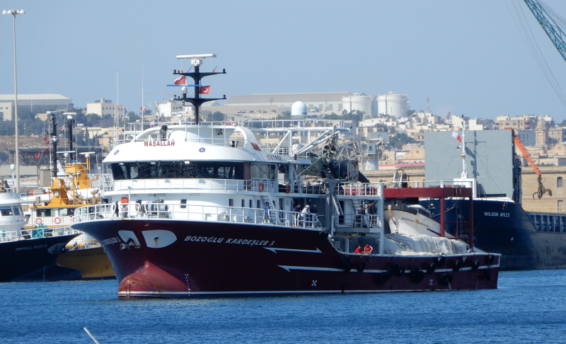 BOZOGLU KARDESLER 3