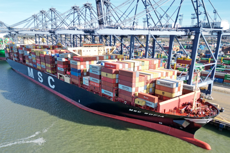 MSC SOFIA