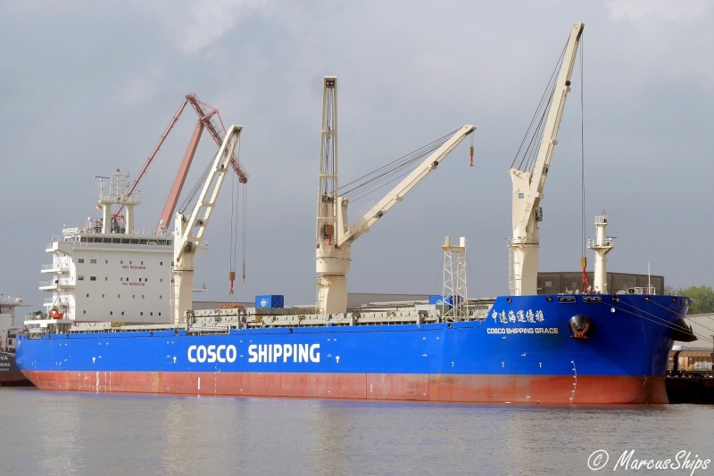 Image of COSCO SHIPPING GRACE
