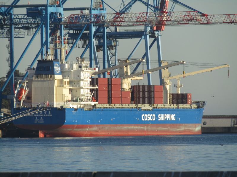 COSCOSHIPPING WISDOM