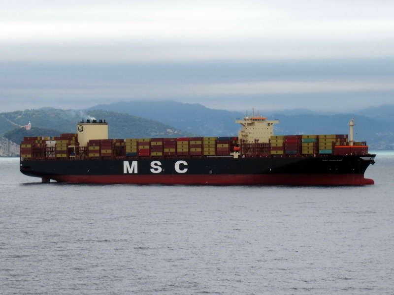 Image of MSC DARLENE