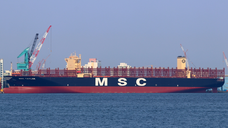 Image of MSC TAYLOR