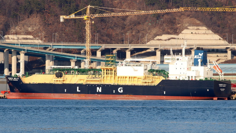 FUELNG VENOSA