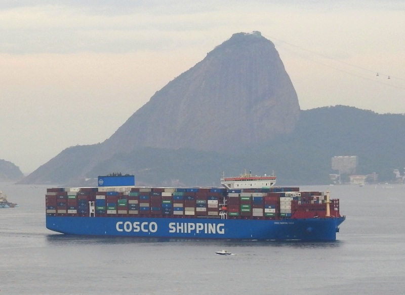 COSCO SHIPPING CHILE